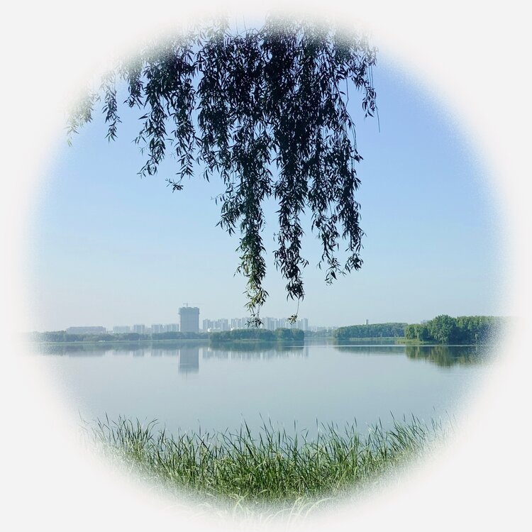 青士李振汉