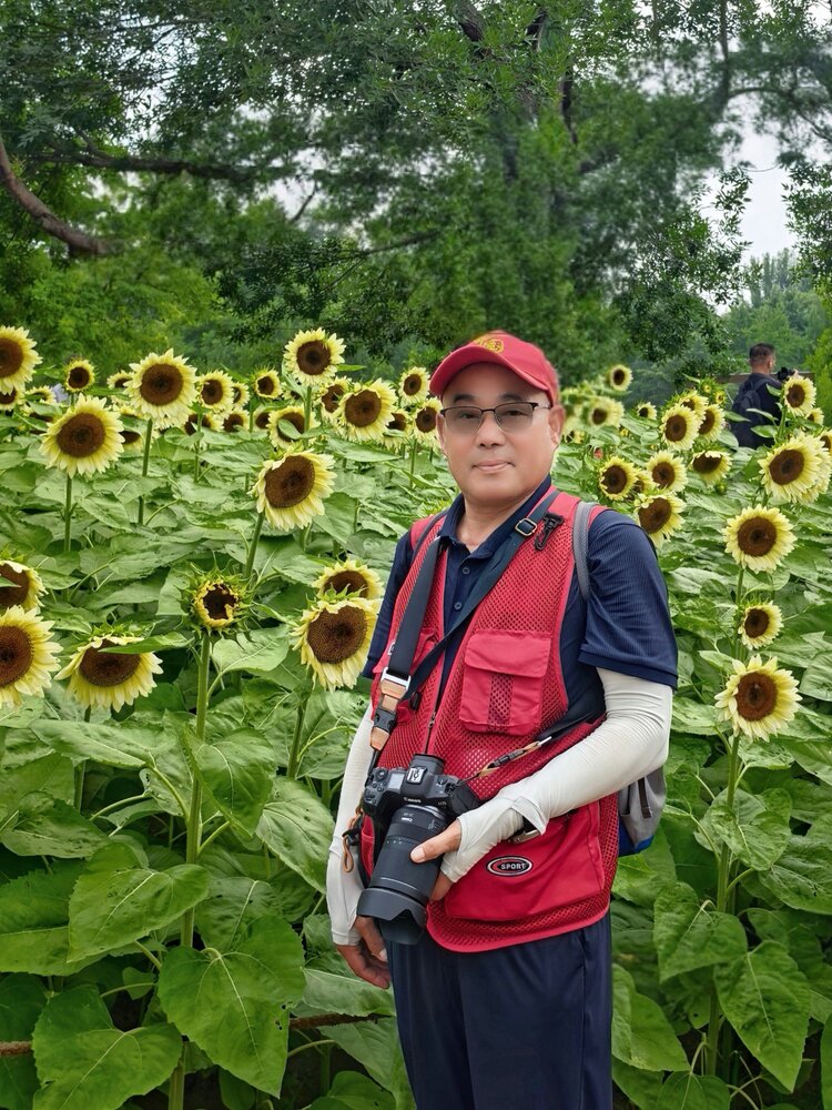 郑元合