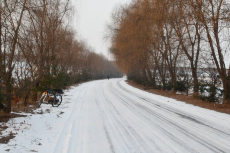 钻石歆【美摄视界】