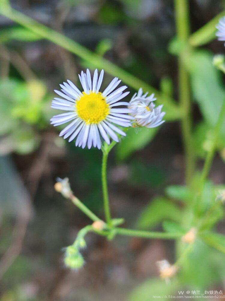 纳兰＿🎤V娱热点