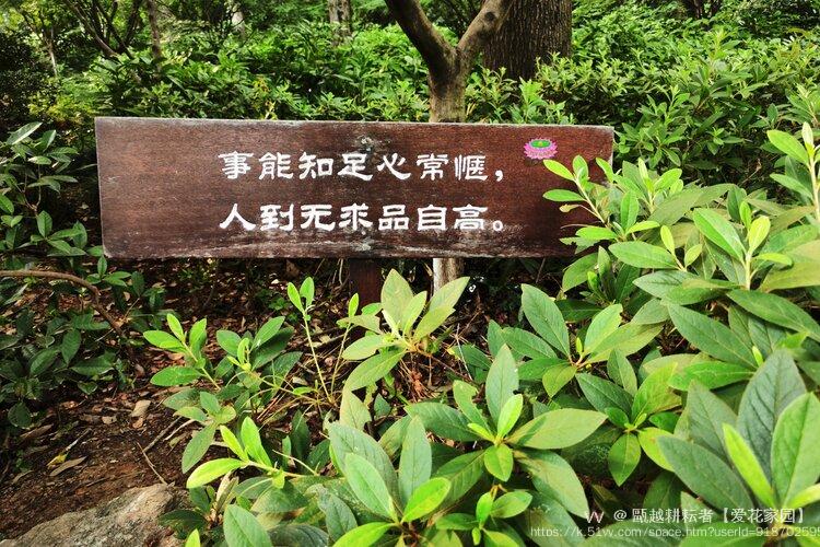 甌越耕耘者【爱花家园】