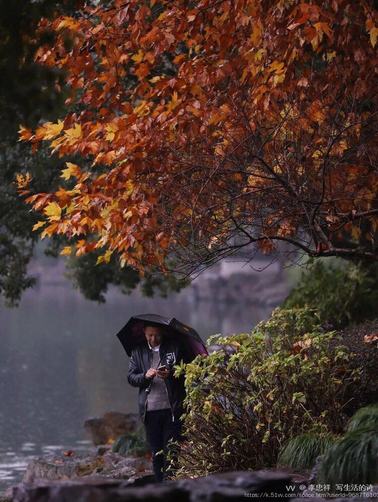 李忠祥  写生活的诗