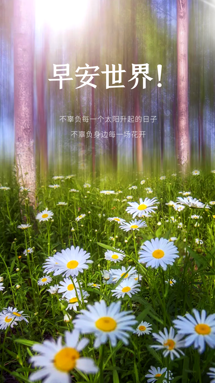 🔥秦人秦风龙游天下
