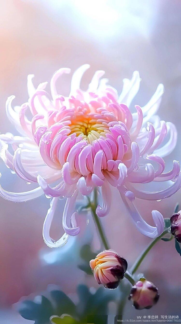 李忠祥  写生活的诗