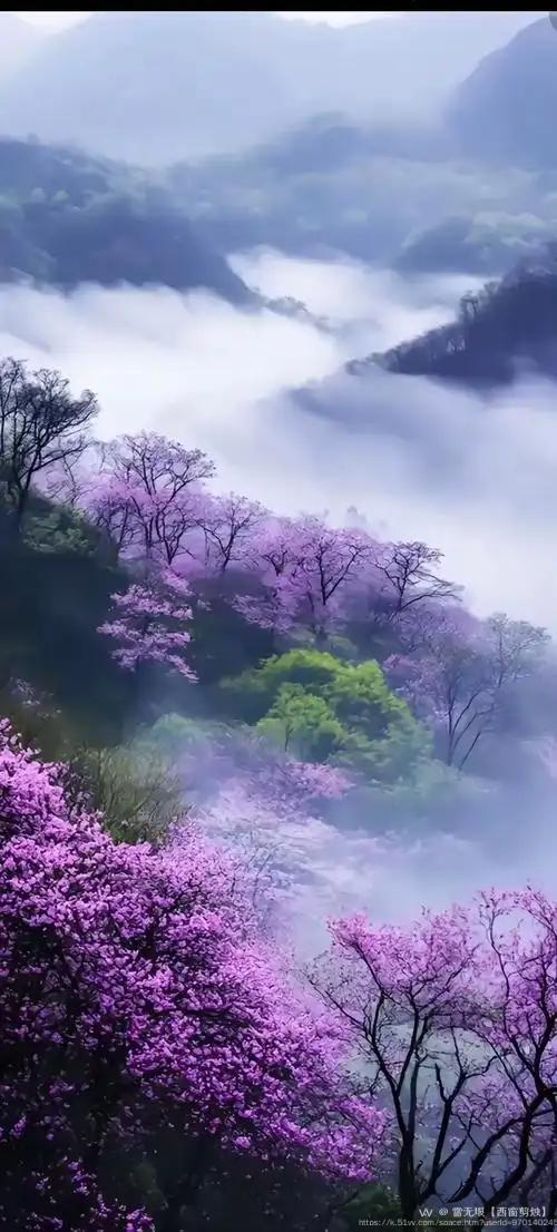 雪无垠【西窗剪烛】