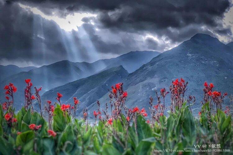 ⚡️依然🌷💫