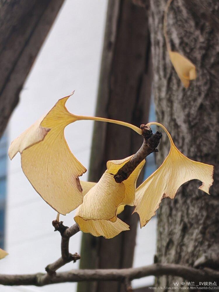 纳兰＿🎤V娱热点