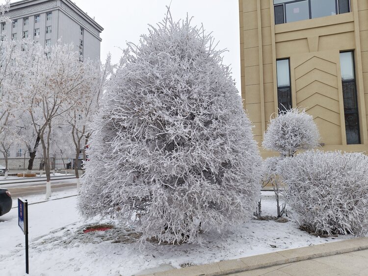 雪儿🎤V娱热点
