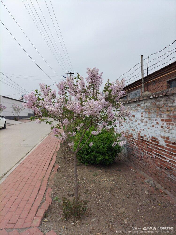 沧桑❤️族长静默如初
