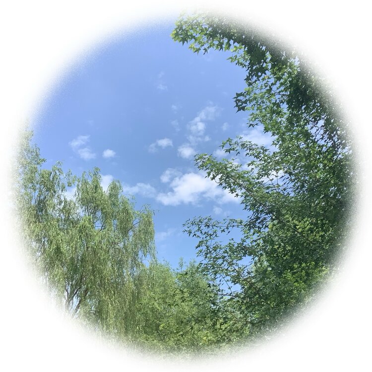 青士李振汉