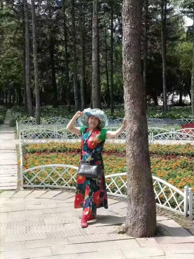 美景桃园