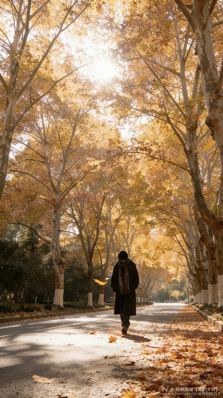 梧桐雨琳【雅韵文轩】