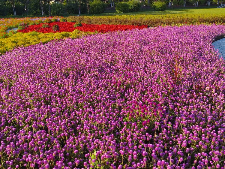 雪儿🎤V娱热点