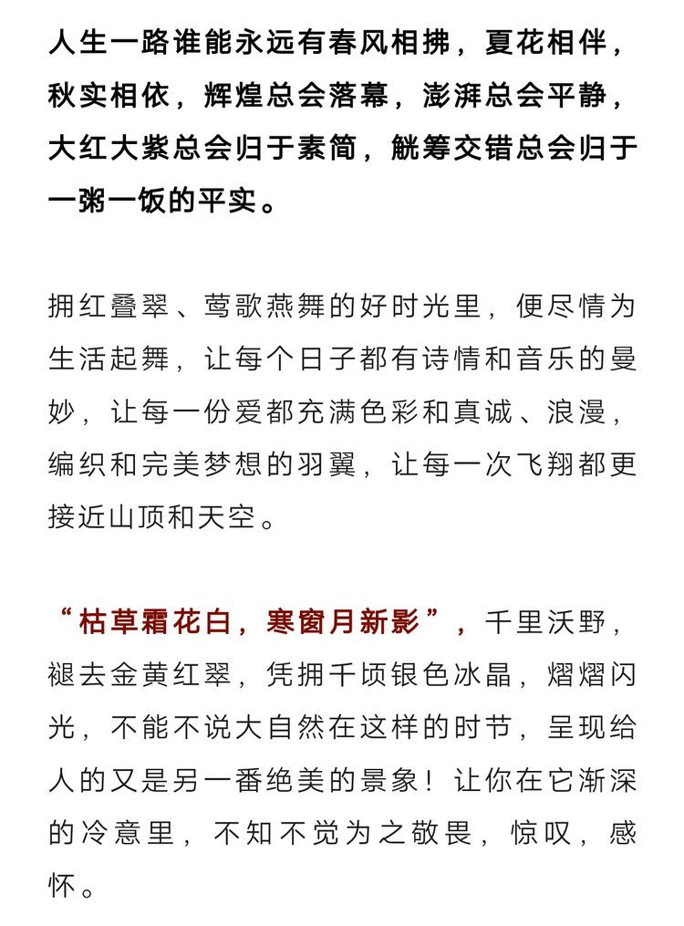 秦声缘💫缘分相遇