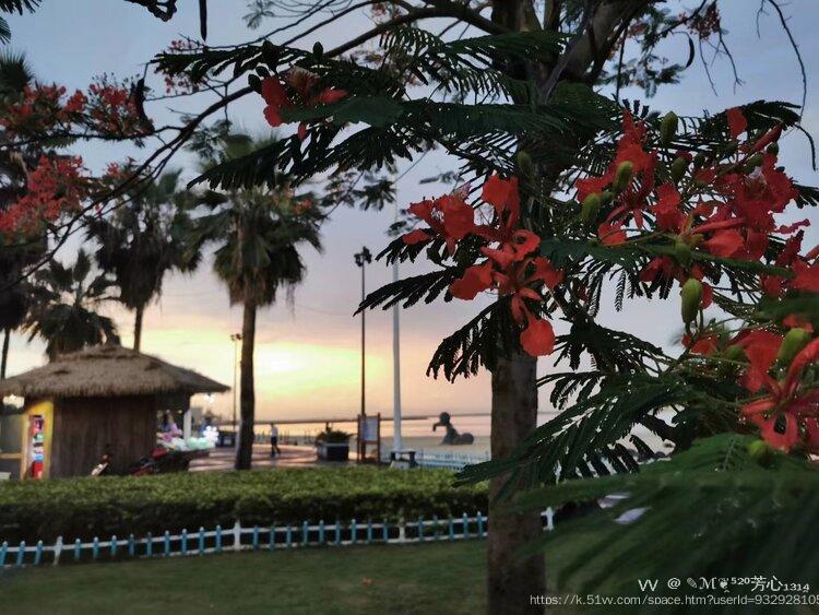 ✎ℳ❦̯⁵²⁰芳心₁₃₁₄̯