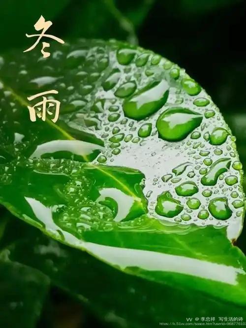 李忠祥  写生活的诗