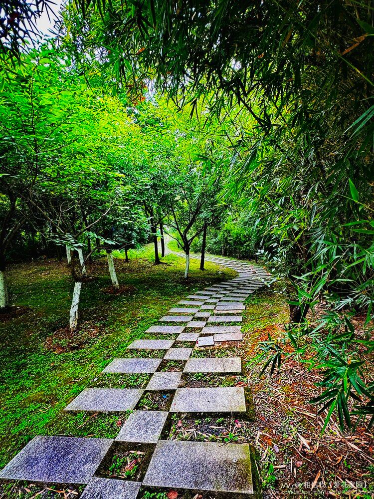 相信我【爱花家园】