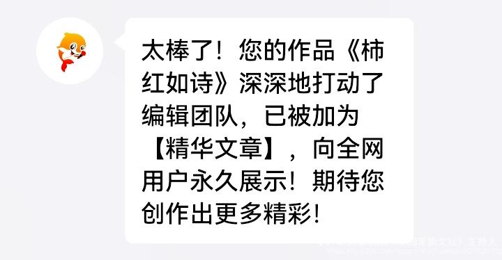 大卫欢欣《爱国军旅文坛》主持人