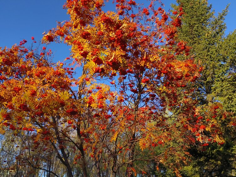 雪儿🎤V娱热点