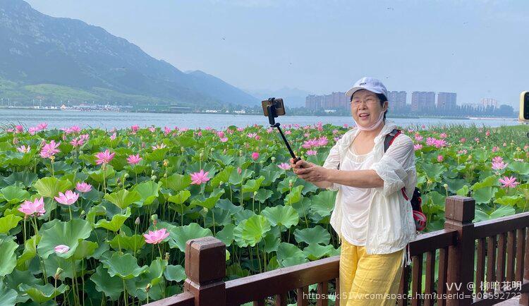柳暗花明