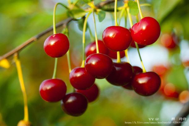 🇨🇳🎖️醉🍒玲玲