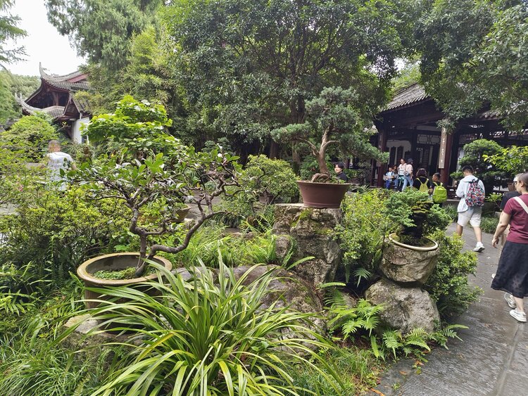 雪儿🎤V娱热点