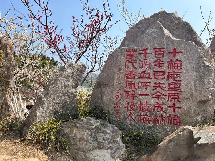 乔安