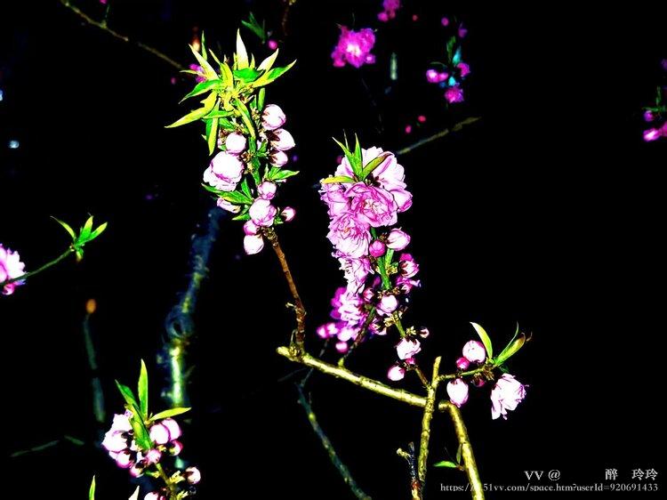 🇨🇳🎖️醉🍒玲玲