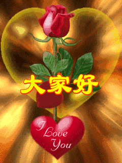 苦丁茶