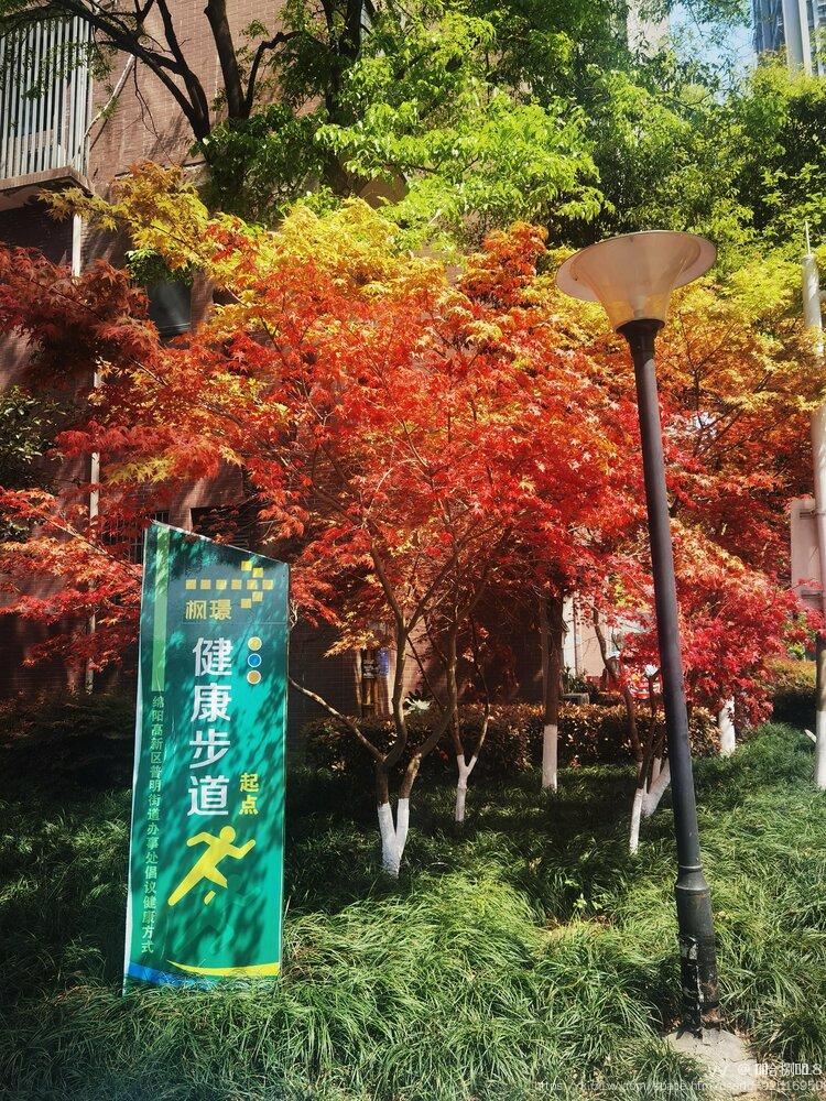 এ᭄拾捌࿐ོ18