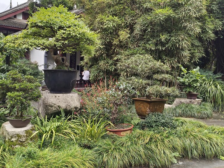 雪儿🎤V娱热点