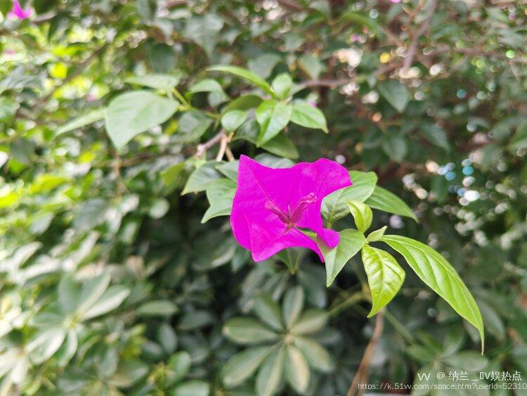 纳兰＿🎤V娱热点