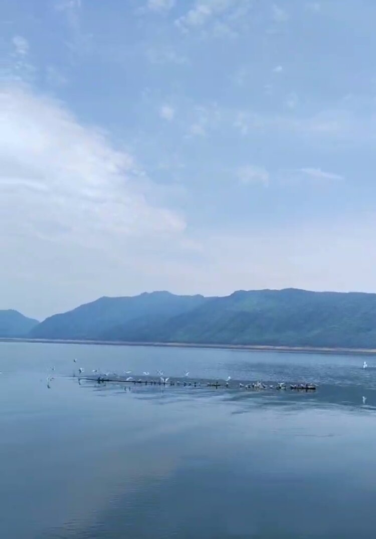 金子ノ温润璞玉