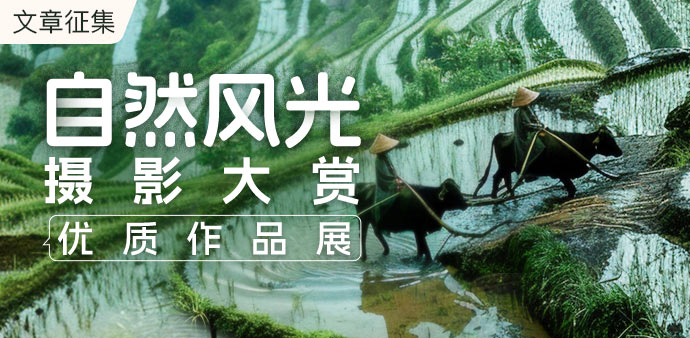 文章官方-心心