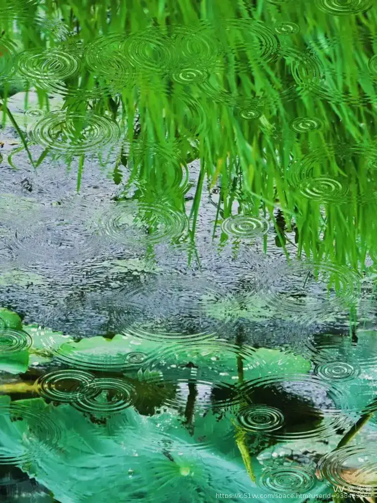 安睿