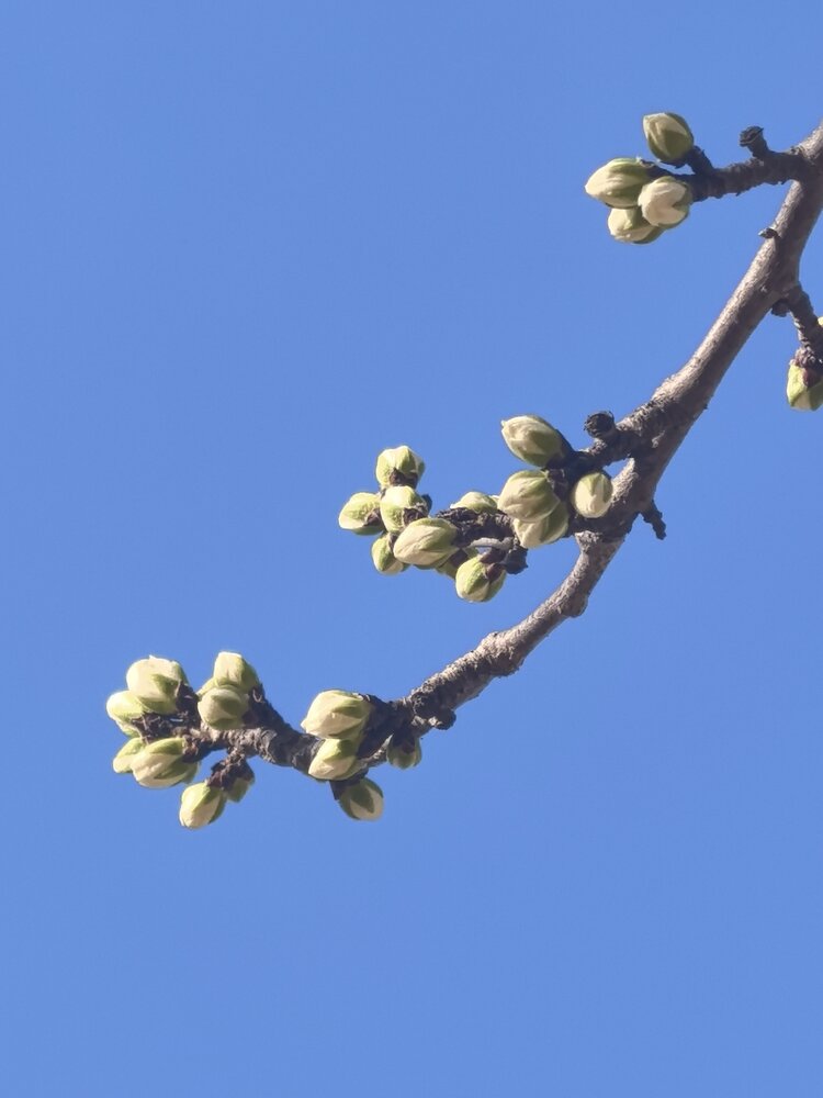 爱吾爱（雅韵文轩）