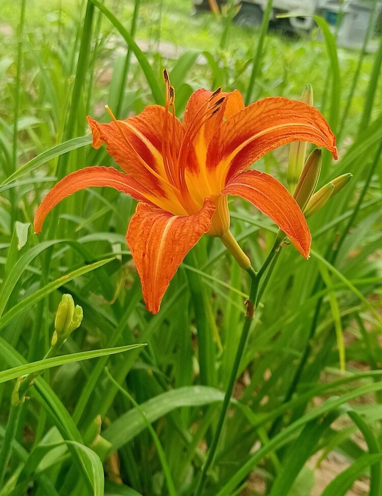 ྅爱ོℒฺℴฺ自νℯฺ己ོ༉