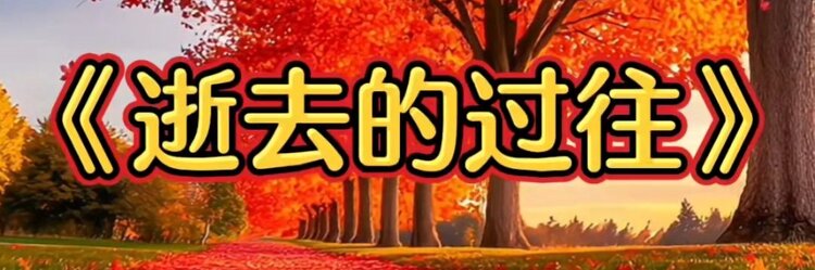 张扬辰