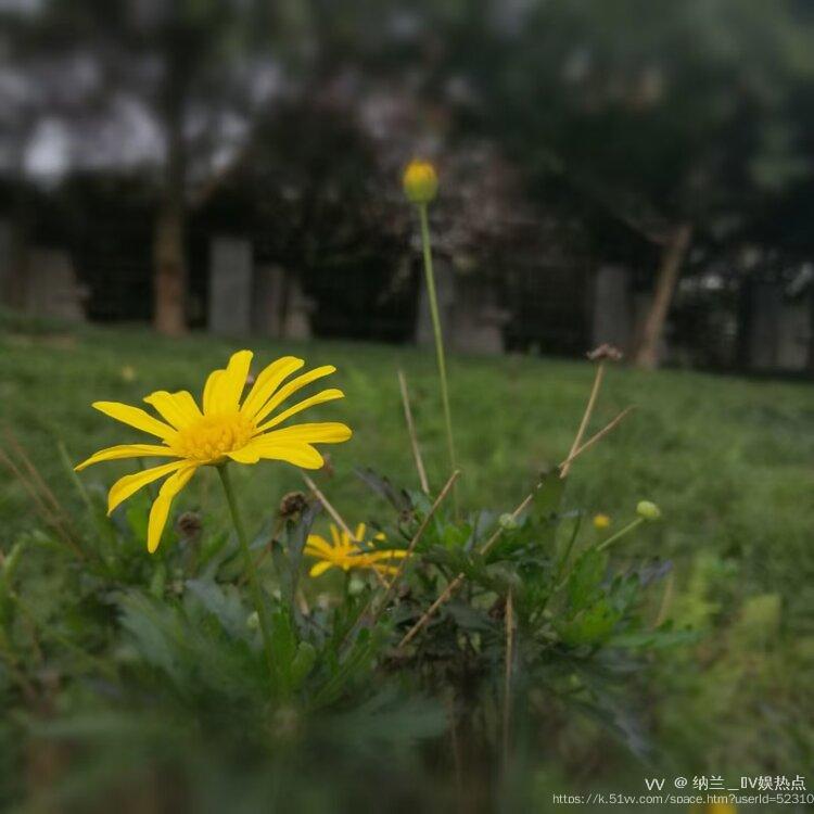 纳兰＿🎤V娱热点