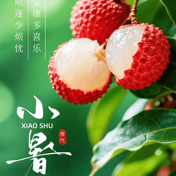 飘