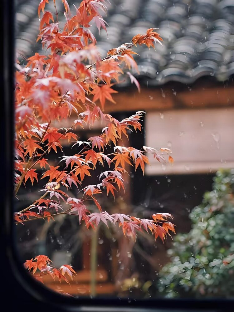 《华人文艺选刊》赵良田主编