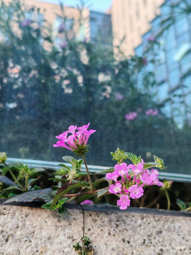 纳兰＿🎤V娱热点