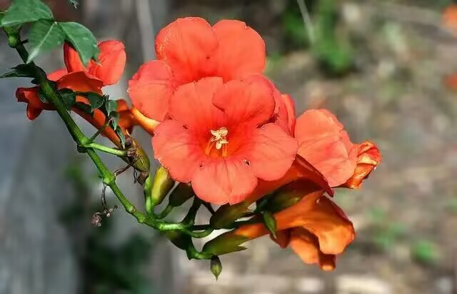 雪儿🎤V娱热点