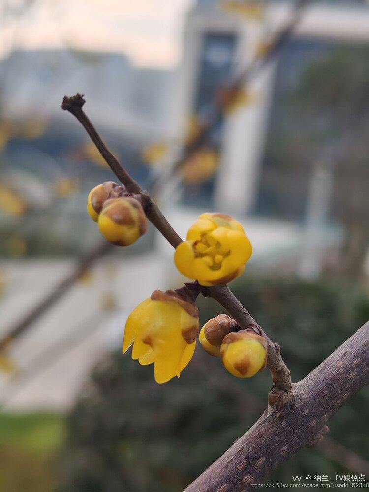 纳兰＿🎤V娱热点