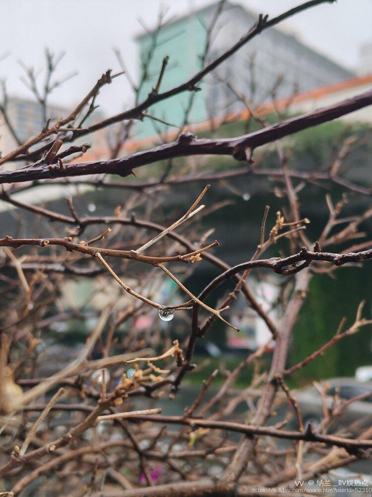 纳兰＿🎤V娱热点