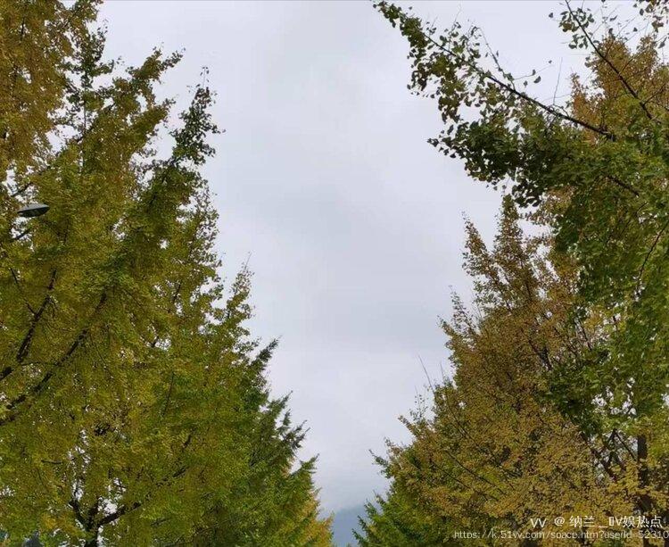 纳兰＿🎤V娱热点