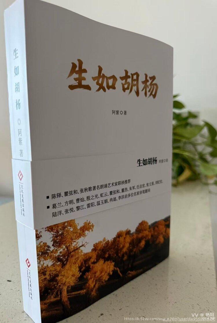 艳阳