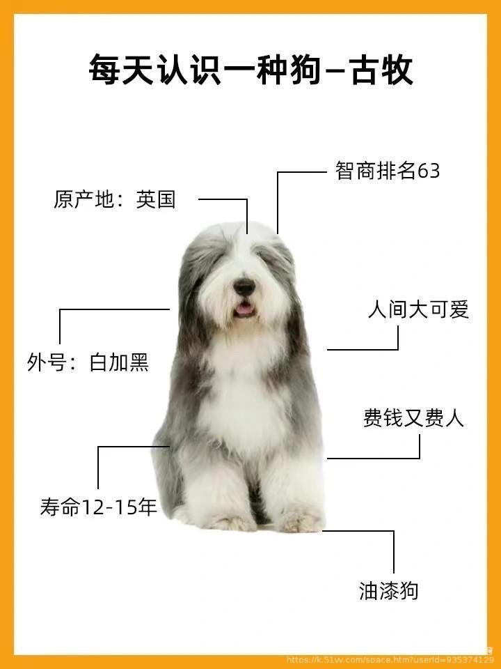 💫️压馨韵💫❦好ོ运ོ❦