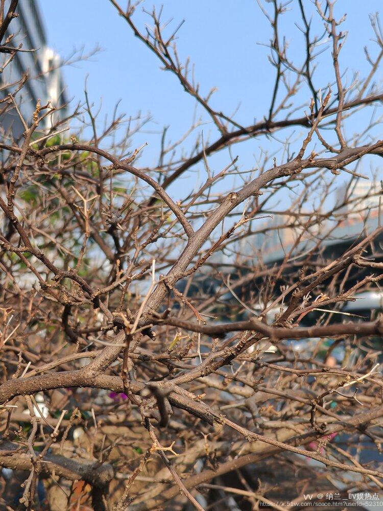 纳兰＿🎤V娱热点