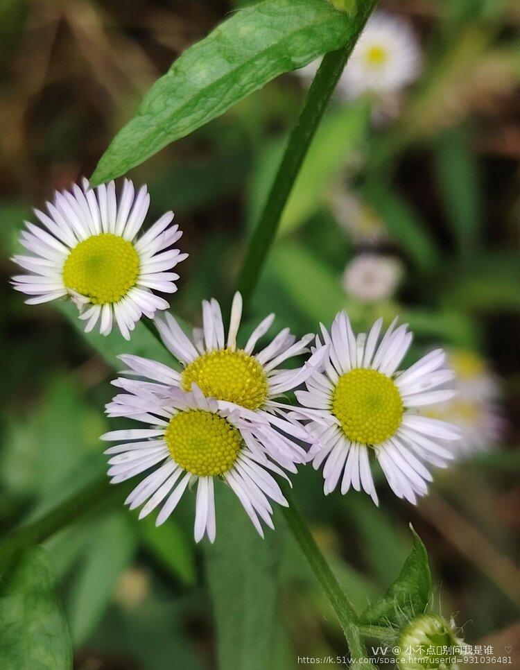 小不点✨别问我是谁   ‮♡‭